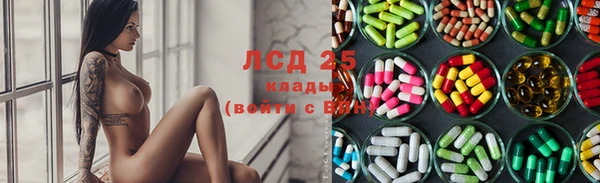 гашик Алексеевка