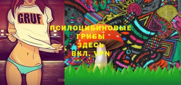 не бодяженный Алзамай