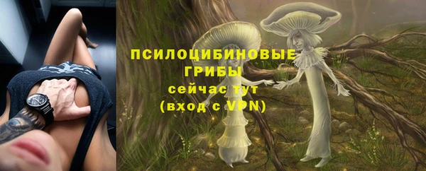 не бодяженный Алзамай